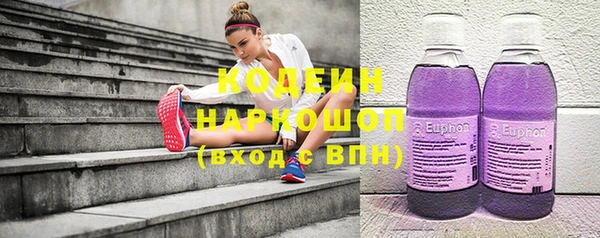 стаф Корсаков