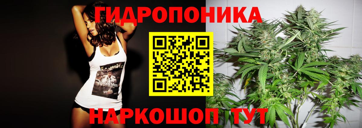 Конопля марихуана Мирный